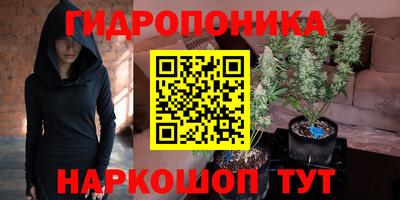 спиды Гусев