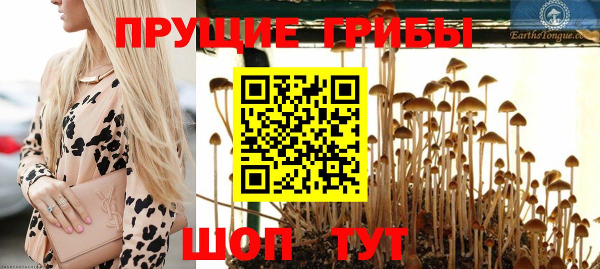 Псилоцибиновые грибы Psilocybine cubensis  Вход с VPN  Наро-Фоминск  Галлюциногенные грибы Psilocybine cubensis 